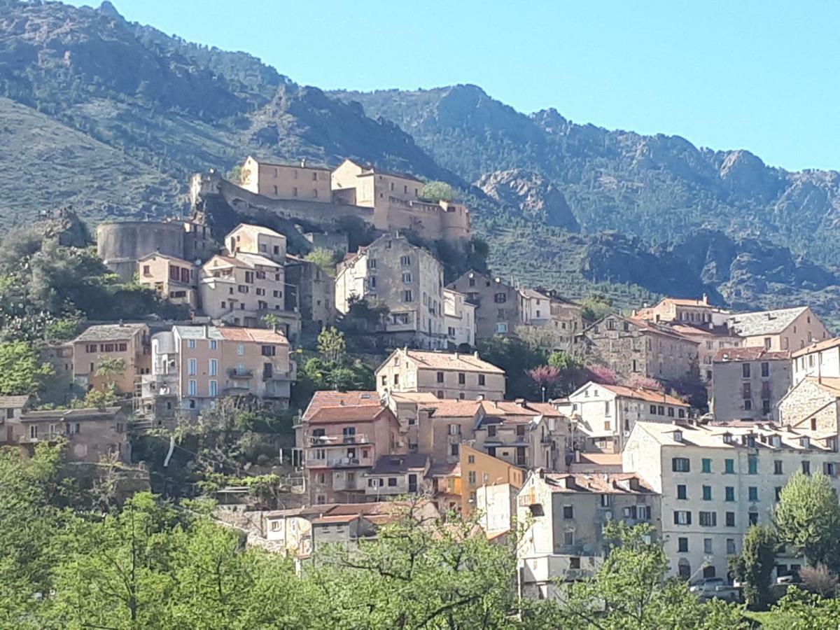 Charmant Studio Dans Residence Neuve Et Calme Amantea Exterior foto